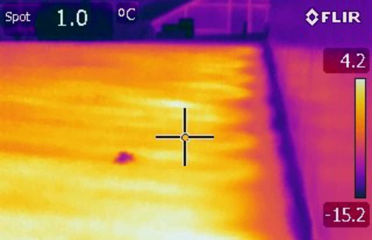 Infrared Thermograph Image